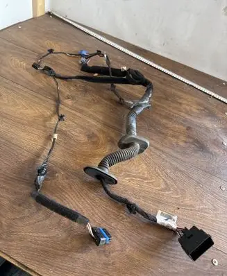 Front door wiring loom