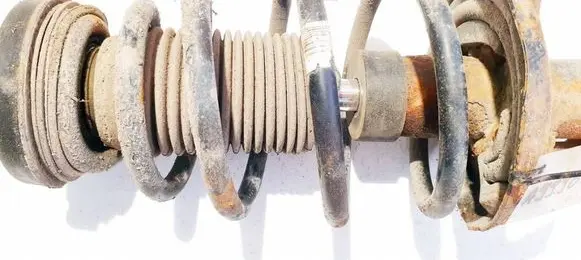 Opel Insignia A Front coil spring 