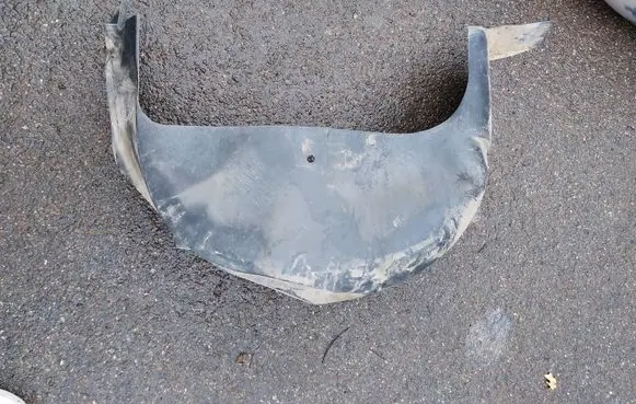 Renault Kangoo II Rear arch fender liner splash guards 767494075R