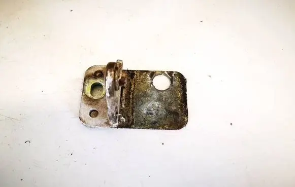 Volkswagen Bora Rear door lower hinge
