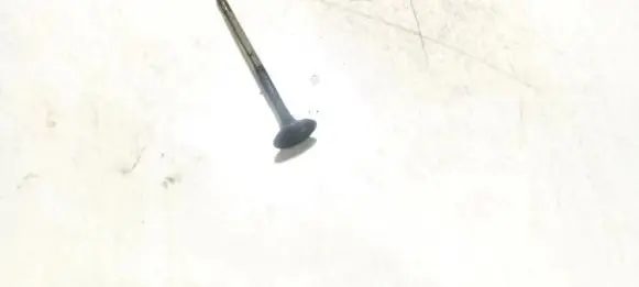 Volkswagen Golf V Valve 