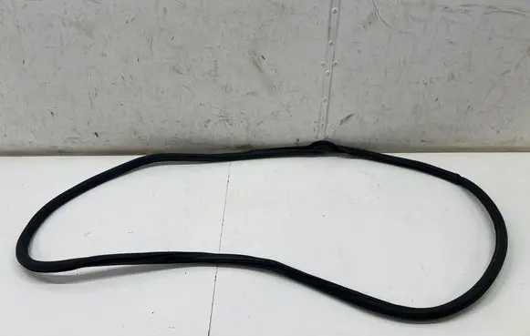Porsche Panamera (971) Front door rubber seal 971831722