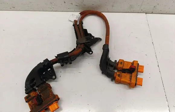 Volkswagen ID.4 Other wiring loom 1EA971015AA