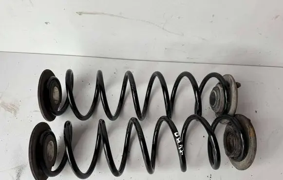 Rear coil spring