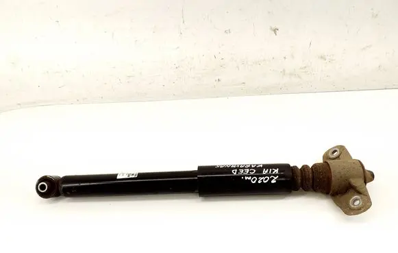 Rear shock absorber/damper