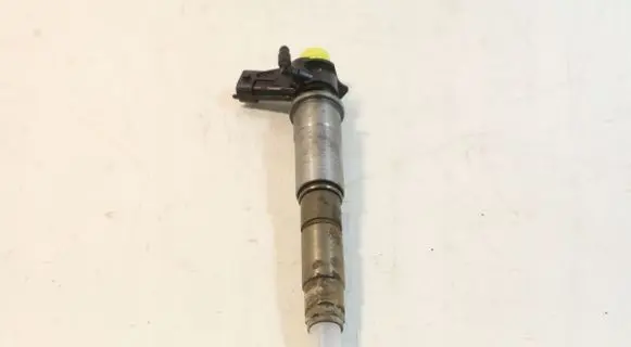 Nissan Qashqai Fuel injector 0445115007