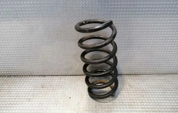 Front coil spring