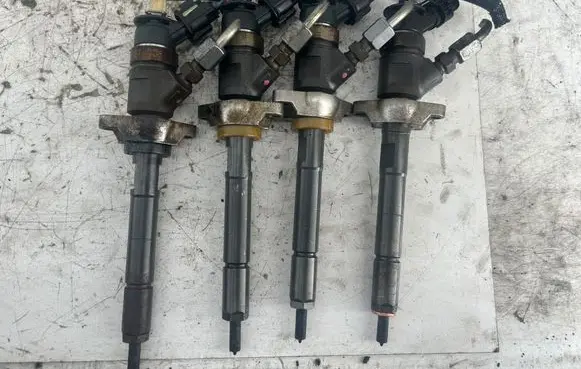 Citroen C3 Fuel injectors set 0445110311 620033