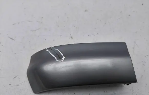 Rear/tail light trim molding