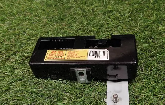 Hyundai Santa Fe Other control units/modules 952302B226