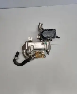 Nissan Qashqai EGR valve 147100789R H02920109 H8201068965