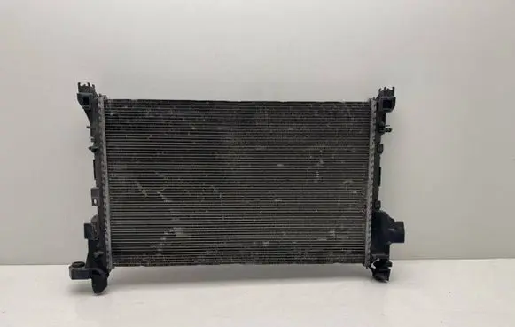 Renault Trafic III (X82) Coolant radiator 93868888