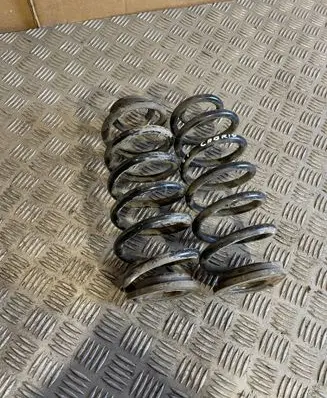 Rear coil spring