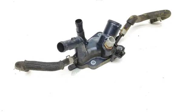 Thermostat/thermostat housing