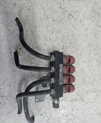 Volkswagen Sharan LP gas injector 67R010104 110R000040