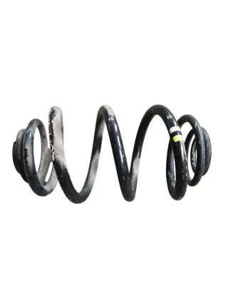Renault Trafic III (X82) Rear coil spring