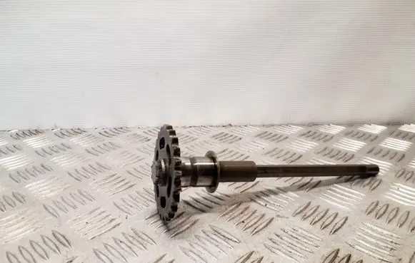 Audi A5 Sportback 8TA Timing chain sprocket 059109570C