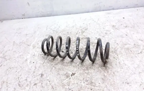 Volkswagen PASSAT B6 Rear coil spring