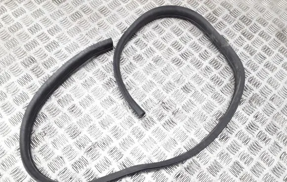Citroen C3 Pluriel Front door rubber seal 