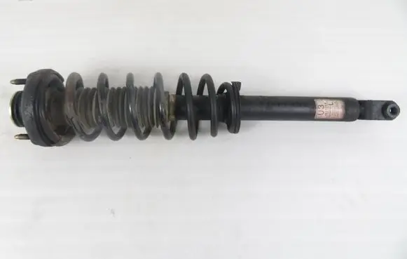 Chevrolet Epica Rear shock absorber with coil spring 7441254