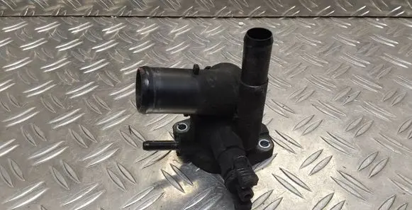 Thermostat/thermostat housing
