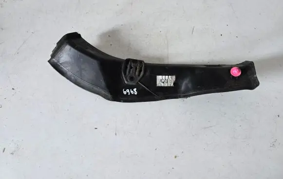 Rear/tail light trim molding