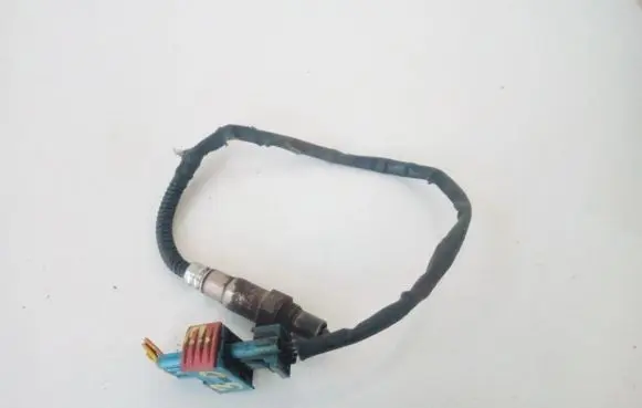 Peugeot 307 Lambda probe sensor 025006185