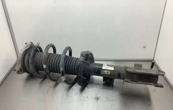 KIA EV6 Front shock absorber with coil spring 54650CV200