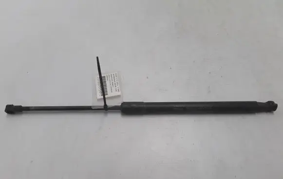 Tailgate strut