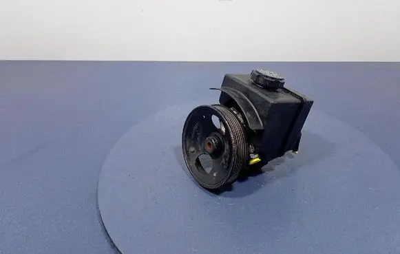 Volvo S80 Power steering pump 91395652
