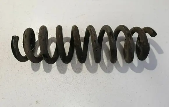 Rear coil spring