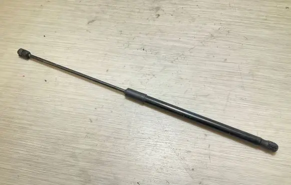 Tailgate/trunk strut/damper