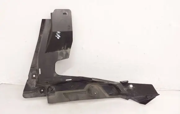 Engine bonnet/hood lock trim molding