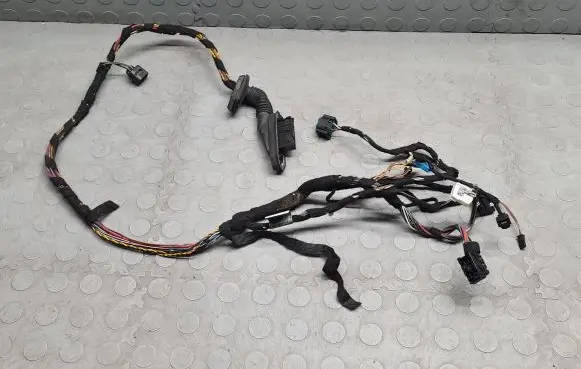 BMW X5 E53 Front door wiring loom 6937602