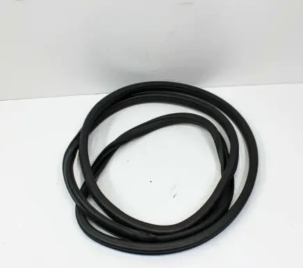 Nissan Leaf I (ZE0) Rubber seal front door (on door) 