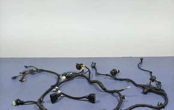 Audi A4 S4 B7 8E 8H Other wiring loom 8490451