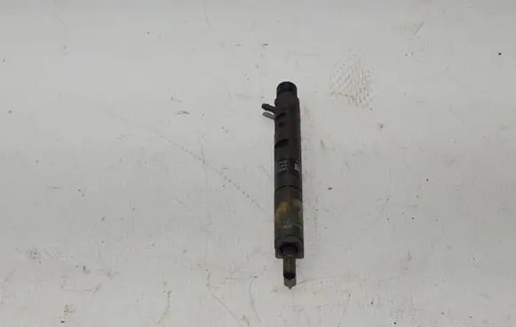 Renault Megane III Fuel injector 8200794299