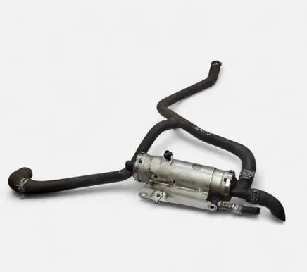 Land Rover Discovery Fuel filter 