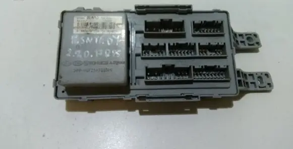 Hyundai Santa Fe Fuse module 919502B400