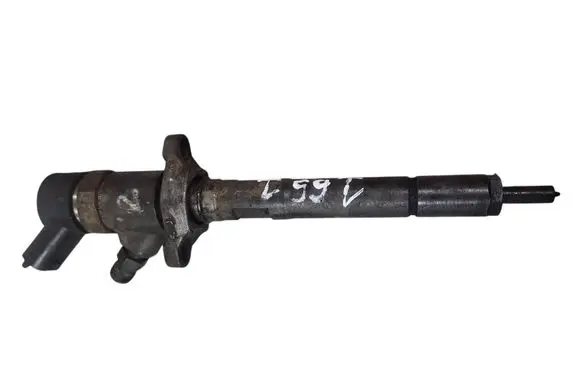 Citroen C4 I Fuel injector 0445110188 892080