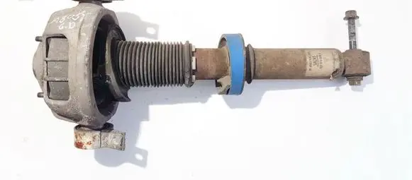 Porsche Cayenne (9PA) Rear shock absorber/damper 7l5513029g 814903558294