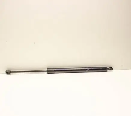 Tailgate/trunk strut/damper