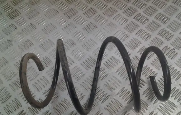 Front coil spring