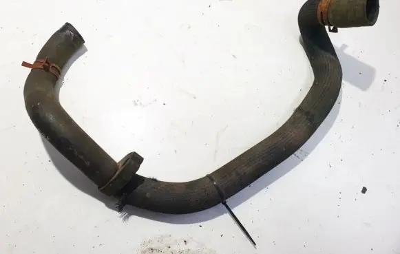 Citroen Berlingo Engine coolant pipe/hose