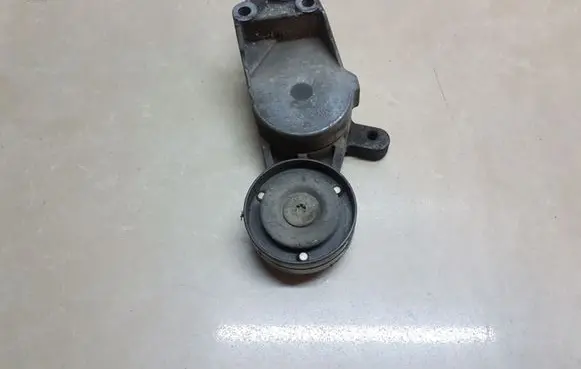 Volkswagen Caddy Generator/alternator belt tensioner 04343010001
