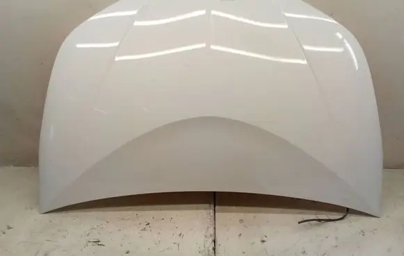 Engine bonnet/hood