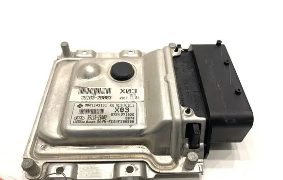 Engine control unit/module ECU