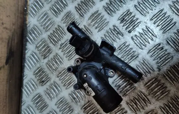 Thermostat/thermostat housing