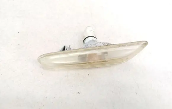 Front fender indicator light