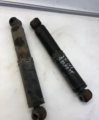 Peugeot Expert Rear shock absorber/damper 